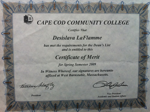 Certificate of Merit - Spring 2009